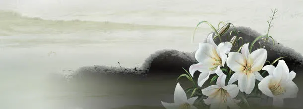 中国风花瓣古典banner壁纸