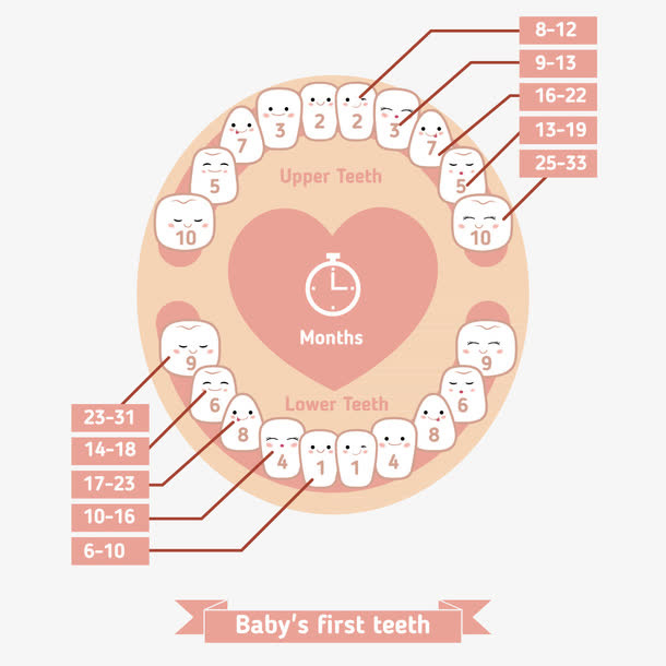 婴儿卡通牙齿免抠