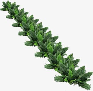 森系整齐装扮婚礼免抠