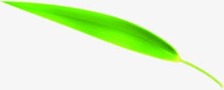 端午节粽叶绿叶叶子免抠