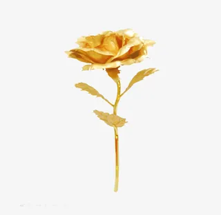 法式浪漫玫瑰花免抠