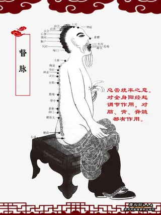 经络图图片免抠