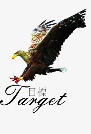 企业品牌广告素材-捕食的鹰免抠