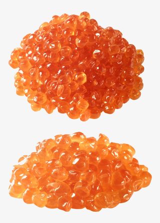 美味的鱼籽免抠