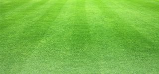 青青草地草坪背景高清