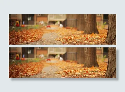 文艺小清新摄影banner壁纸免抠