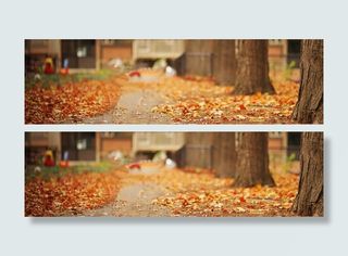 文艺小清新摄影banner壁纸免抠