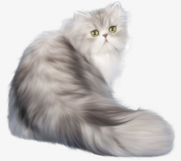 充满忧郁气质的猫免抠