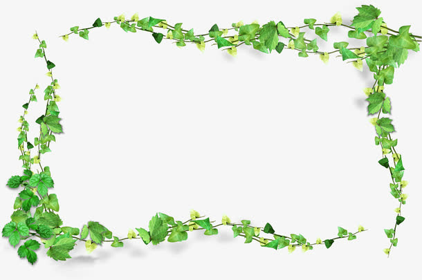 清新植物树叶边框设计免抠