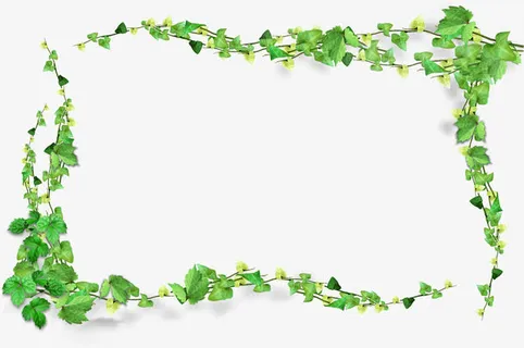 清新植物树叶边框设计免抠