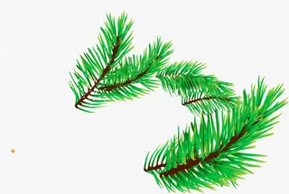 圣诞元旦节日树枝免抠