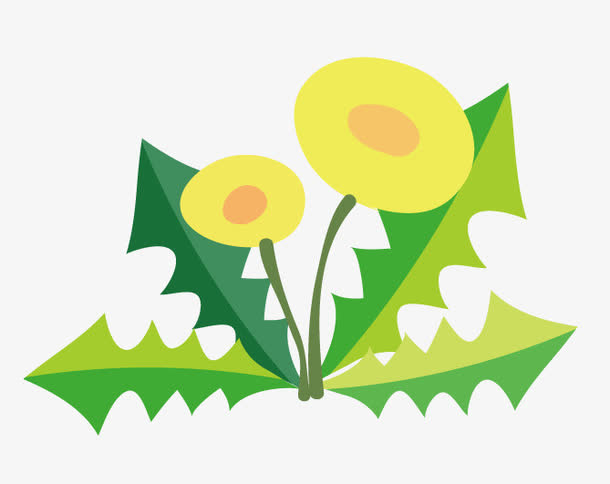 地灯笼花草免抠