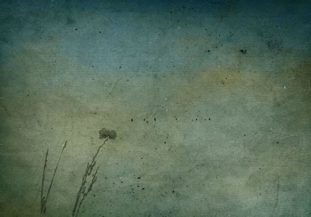 复古花卉植物背景