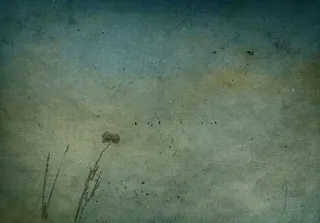 复古花卉植物背景