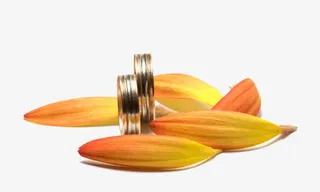 高清菊花花瓣免抠