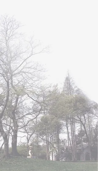 树枝主题别墅区设计免抠