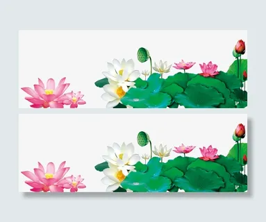 装饰图案免抠 装饰图案免抠