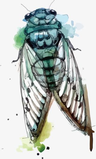 昆虫知了印花矢量图免抠