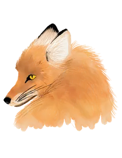 插画免扣狐狸高清