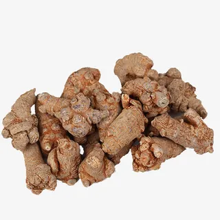 不硫熏田七免抠