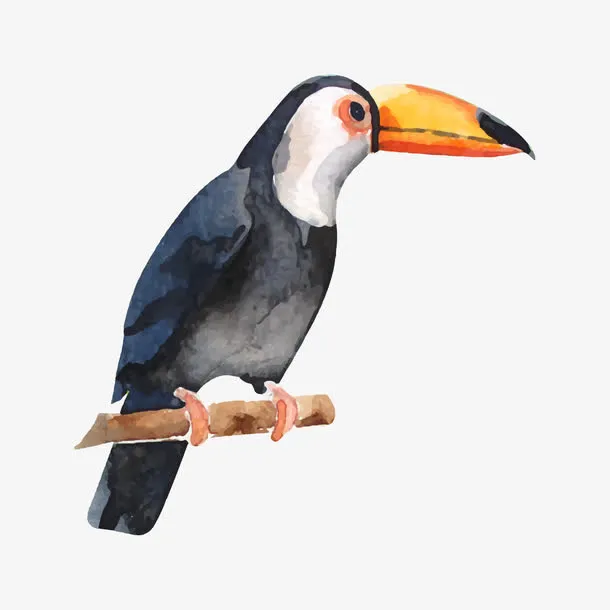 树枝上的啄木鸟免抠