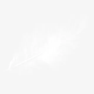 白色的羽毛免抠