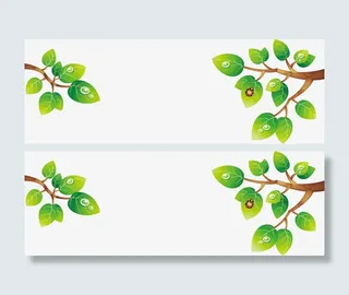 卡通精美清新春天树枝叶子免抠