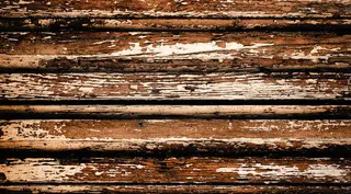 长毛的木板免抠