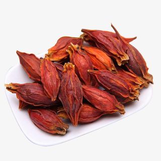 免抠 山栀子免抠