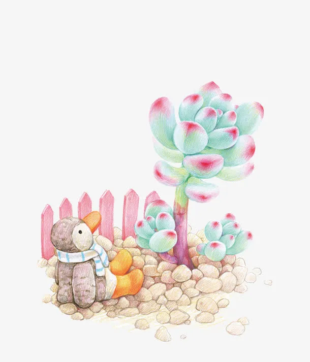 多肉植物免抠