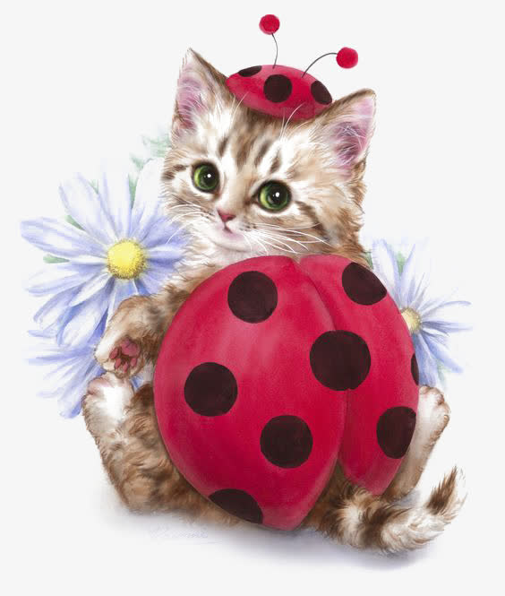 瓢虫猫咪免抠