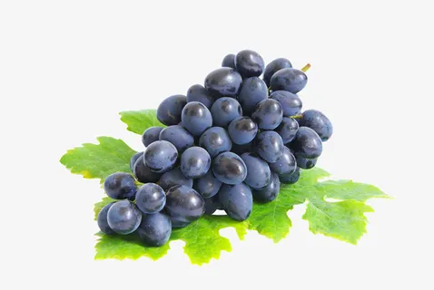 生鲜水果葡萄叶子免抠