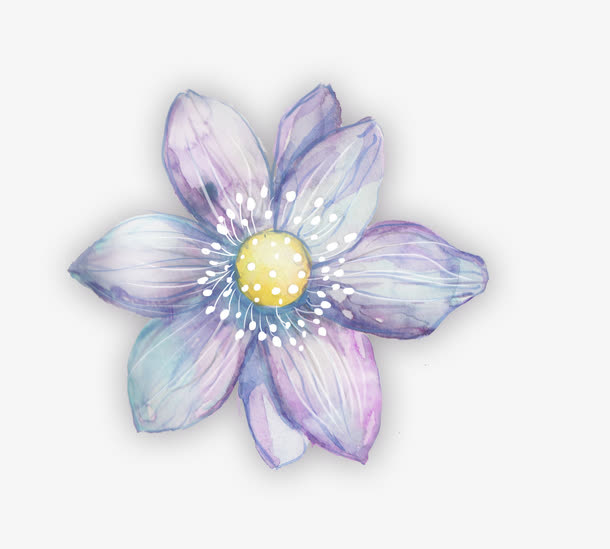 紫色花朵免抠
