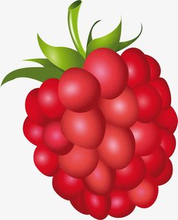 手绘红色桑葚叶子免抠