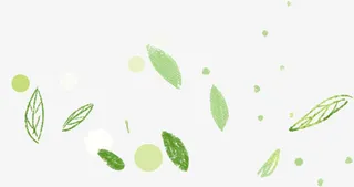 漂浮的绿叶免抠