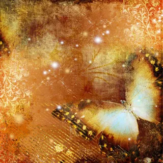 古典蝴蝶花纹背景