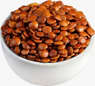 酸枣仁素材电商免抠