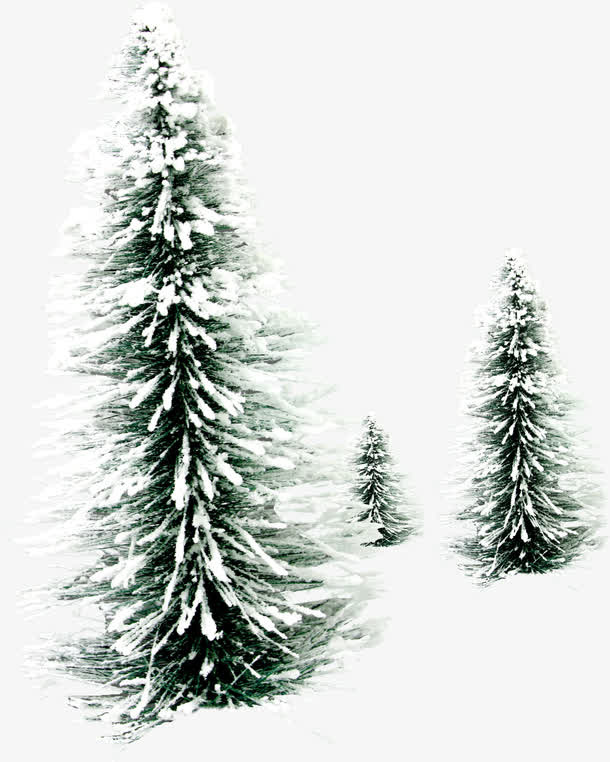 浪漫冬季雪树景观免抠
