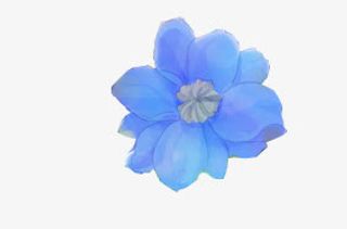 蓝色单朵盛开小花免抠