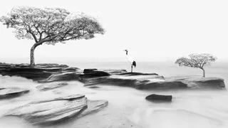 中国风仙境水墨风景免抠