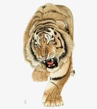 凶猛的虎免抠