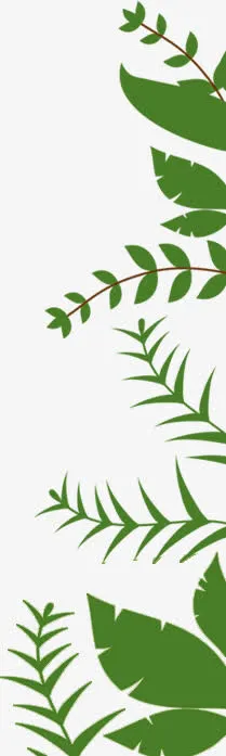 绿叶卡通绿叶边框装饰免抠