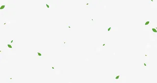 绿叶绿色漂浮漫天免费素材免抠