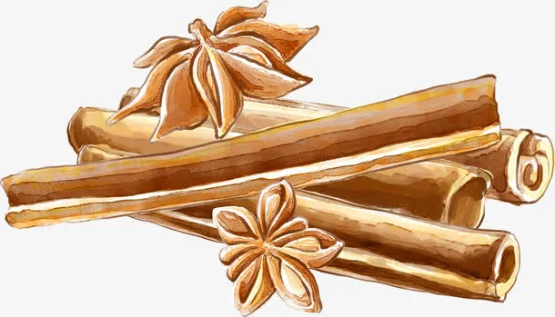 手绘八角桂皮免抠