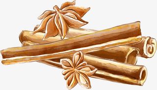 手绘八角桂皮免抠