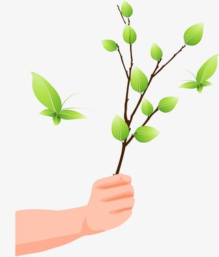 矢量插图拿着一株树枝的手免抠