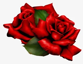 手绘鲜花春季素材11免抠