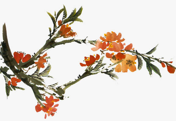 树枝免抠