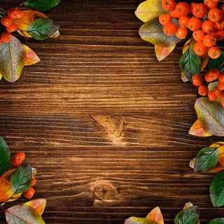 木板上的植物边框背景图高清