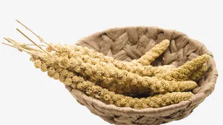 竹篮子里的黄色小米穗免抠